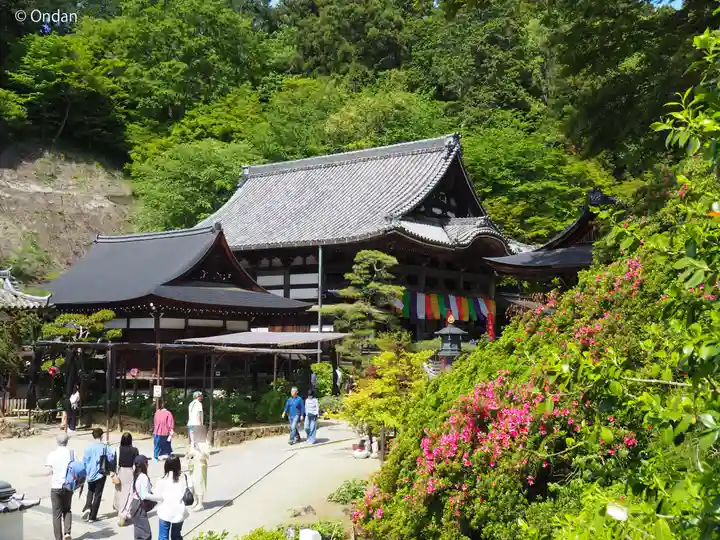 岡寺(龍蓋寺)(奈良県)