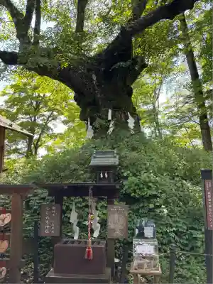 熊野皇大神社(長野県)
