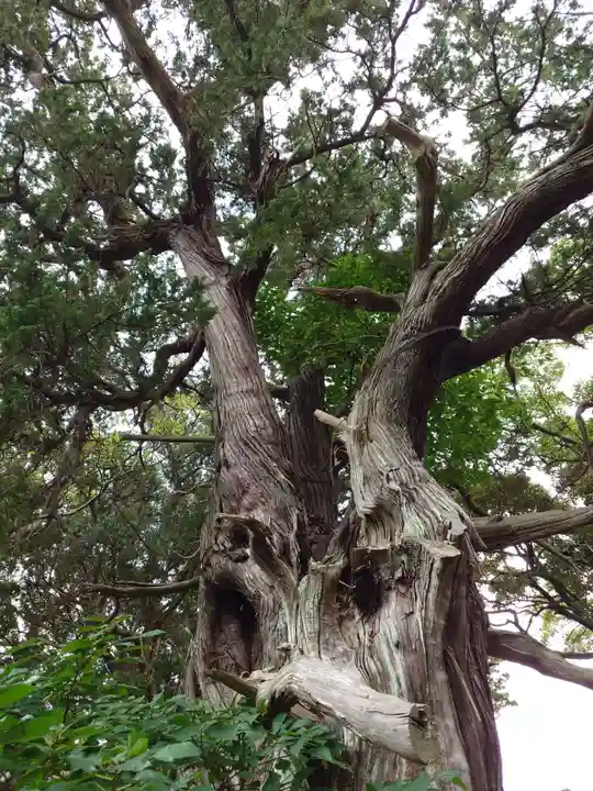 大瀬神社(静岡県)