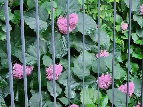 生田神社の自然