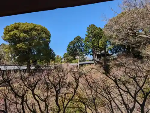 東福禅寺（東福寺）(京都府)