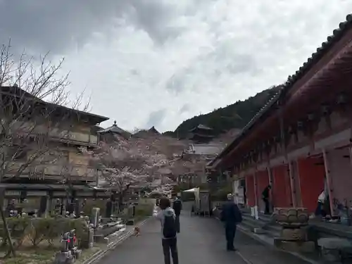 南法華寺（壷阪寺）(奈良県)