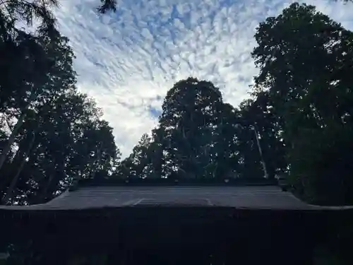 大宮温泉神社(栃木県)