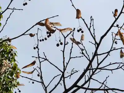 太山寺(兵庫県)