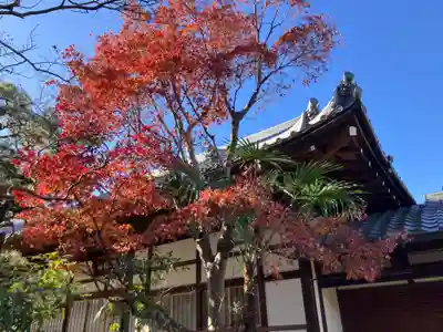 傳光院（伝光院）(滋賀県)