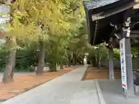 諏訪神社の{uncategorized: "未分類", other: "その他", undefined: "問題あり", building: "その他建物", grave: "お墓", sacred_gate: "鳥居", guardian: "狛犬", statue: "像", buddha: "仏像", history: "歴史", nature: "自然", garden: "庭園", animal: "動物", pagoda: "塔", temizu: "手水舎", mountain_gate: "山門・神門", sanctuary: "本殿・本堂", subordinate: "末社・摂社", art: "芸術", scenery: "景色", jizo: "地蔵", ema: "絵馬", goshuin: "御朱印", omikuji: "おみくじ", items: "授与品その他", amulet: "お守り", goshuincho: "御朱印帳", eats: "食事", festival: "お祭り", votive_dance: "神楽", shichigosan: "七五三参", wedding: "結婚式", experience: "体験その他", initially: "初詣", around: "周辺", anti_infection: "感染症対策"}
