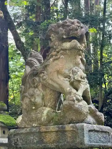 平泉寺白山神社(福井県)