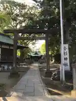 小杉神社の鳥居