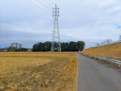 春日神社の自然