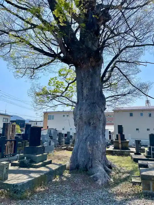 久福寺(福島県)