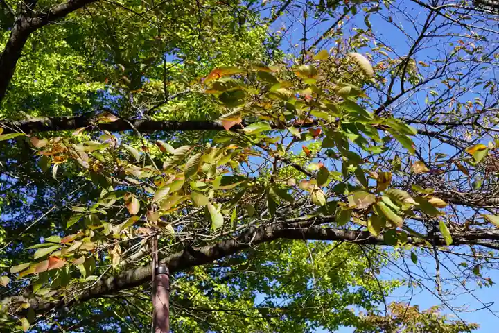 神炊館神社 ⁂奥州須賀川総鎮守⁂の自然