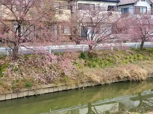 鷲宮神社(埼玉県)