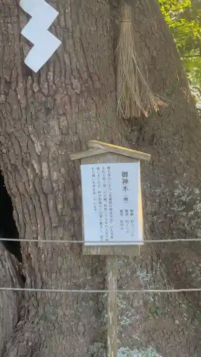 常陸國總社宮(茨城県)