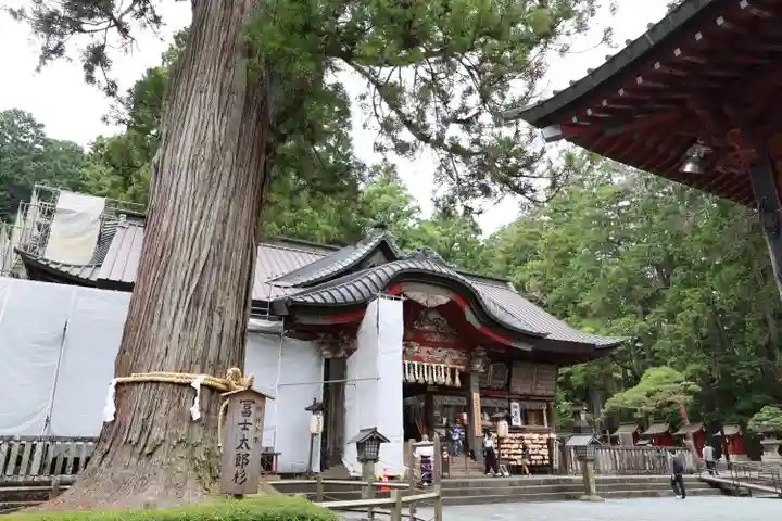 北口本宮冨士浅間神社(山梨県)