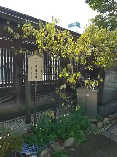 湯島天満宮(東京都)