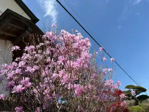 淺間神社（忍野八海）の{uncategorized: "未分類", other: "その他", undefined: "問題あり", building: "その他建物", grave: "お墓", sacred_gate: "鳥居", guardian: "狛犬", statue: "像", buddha: "仏像", history: "歴史", nature: "自然", garden: "庭園", animal: "動物", pagoda: "塔", temizu: "手水舎", mountain_gate: "山門・神門", sanctuary: "本殿・本堂", subordinate: "末社・摂社", art: "芸術", scenery: "景色", jizo: "地蔵", ema: "絵馬", goshuin: "御朱印", omikuji: "おみくじ", items: "授与品その他", amulet: "お守り", goshuincho: "御朱印帳", eats: "食事", festival: "お祭り", votive_dance: "神楽", shichigosan: "七五三参", wedding: "結婚式", experience: "体験その他", initially: "初詣", around: "周辺", anti_infection: "感染症対策"}