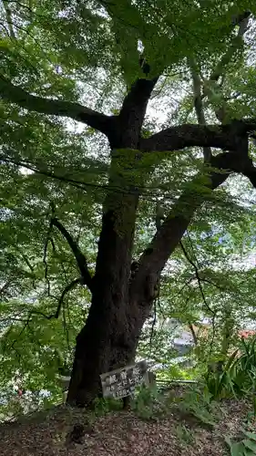 東正寺(山形県)