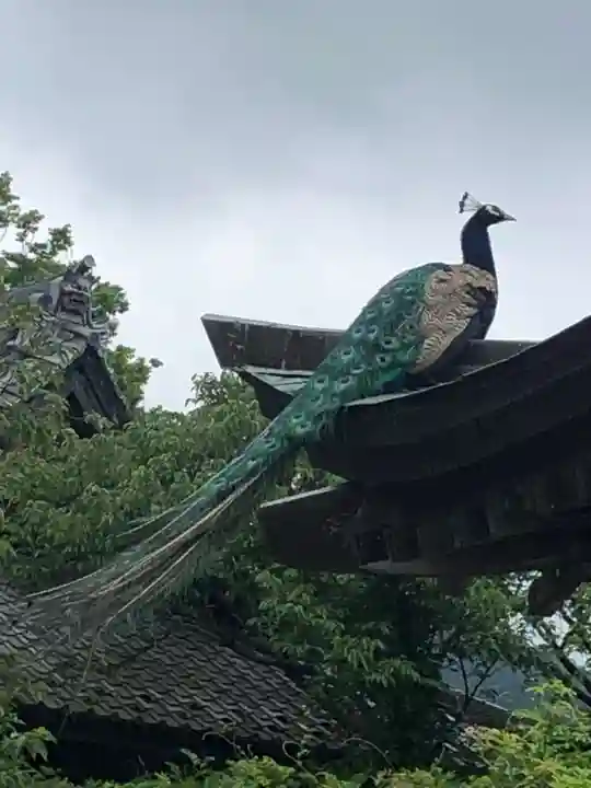 楽法寺(雨引観音)の動物