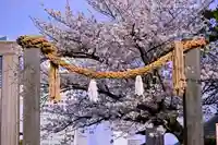 伊勢山皇大神宮(神奈川県)