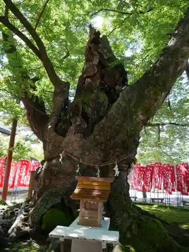 秩父今宮神社のその他建物