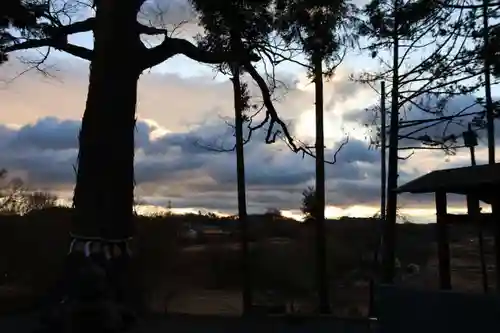 阿久津「田村神社」（郡山市阿久津町）旧社名：伊豆箱根三嶋三社の自然