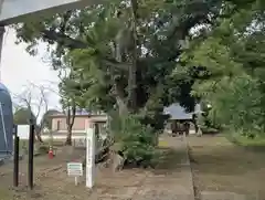 高龗神社の建物その他