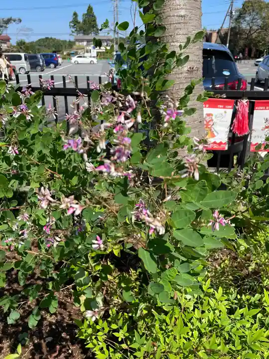 高麗神社の自然