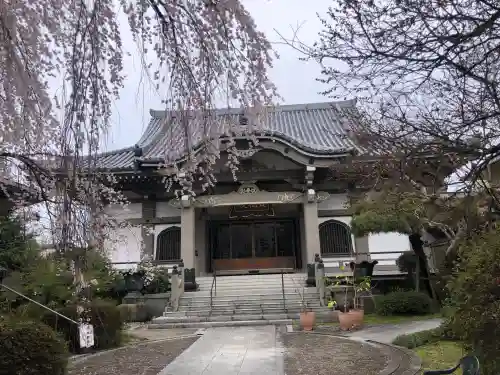 栽松院の{uncategorized: "未分類", other: "その他", undefined: "問題あり", building: "その他建物", grave: "お墓", sacred_gate: "鳥居", guardian: "狛犬", statue: "像", buddha: "仏像", history: "歴史", nature: "自然", garden: "庭園", animal: "動物", pagoda: "塔", temizu: "手水舎", mountain_gate: "山門・神門", sanctuary: "本殿・本堂", subordinate: "末社・摂社", art: "芸術", scenery: "景色", jizo: "地蔵", ema: "絵馬", goshuin: "御朱印", omikuji: "おみくじ", items: "授与品その他", amulet: "お守り", goshuincho: "御朱印帳", eats: "食事", festival: "お祭り", votive_dance: "神楽", shichigosan: "七五三参", wedding: "結婚式", experience: "体験その他", initially: "初詣", around: "周辺", anti_infection: "感染症対策"}