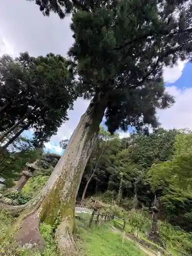 普門寺(切り絵御朱印発祥の寺)(愛知県)