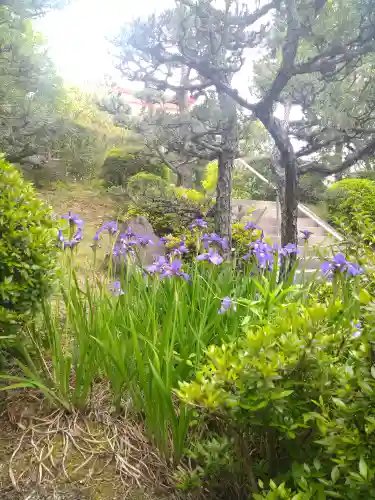 木華佐久耶比咩神社の庭園