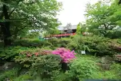 清水観音堂の庭園