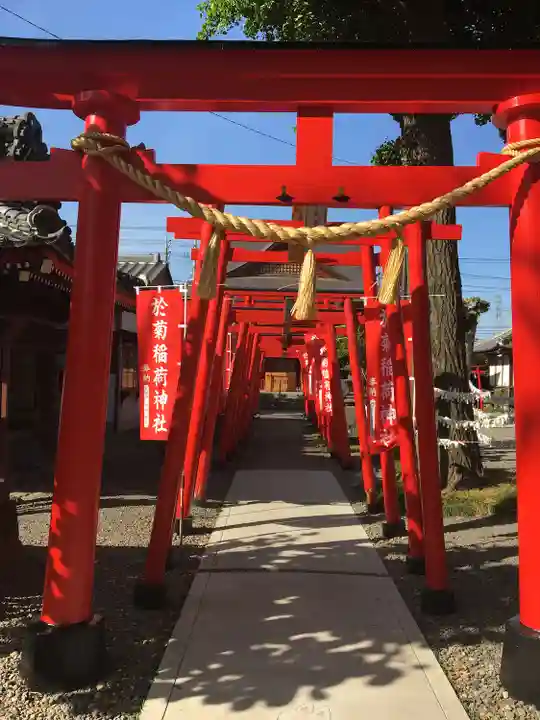 於菊稲荷神社の鳥居