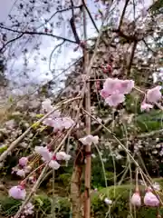 岩槻久伊豆神社(埼玉県)