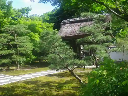 長壽寺（長寿寺）の景色