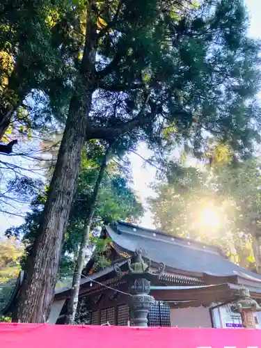 鹿島神宮(茨城県)