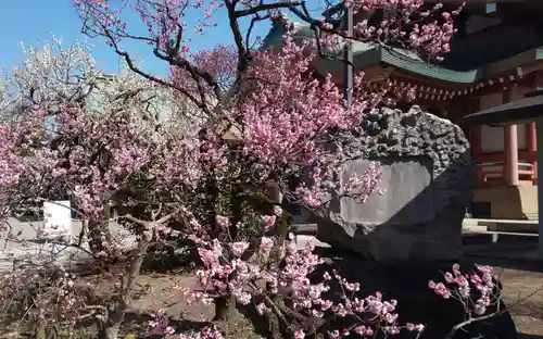 北野天満宮(京都府)