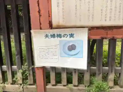 甲斐國一宮 浅間神社(山梨県)