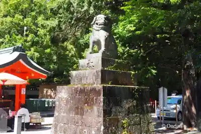 熊野速玉大社の狛犬