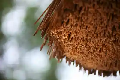 阿須利神社のその他建物