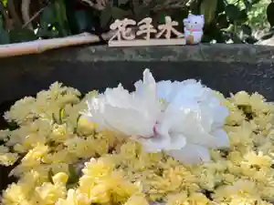 真言宗 善通寺派 薬王寺(香川県)(2023年04月23日(日) 10時38分04秒投稿)