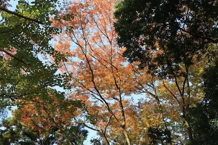 阿久津「田村神社」(郡山市阿久津町)旧社名:伊豆箱根三嶋三社の自然