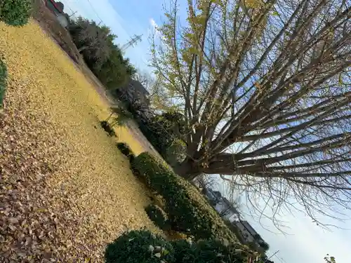 延命寺(身代り不動尊)の景色