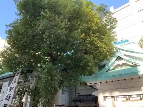 椙森神社の自然