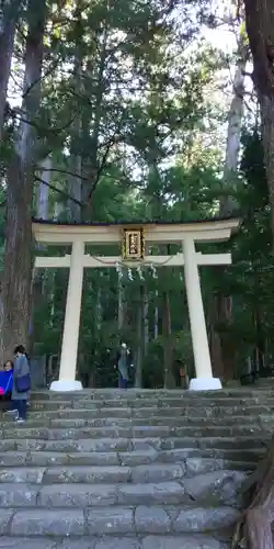 飛瀧神社（熊野那智大社別宮）の鳥居