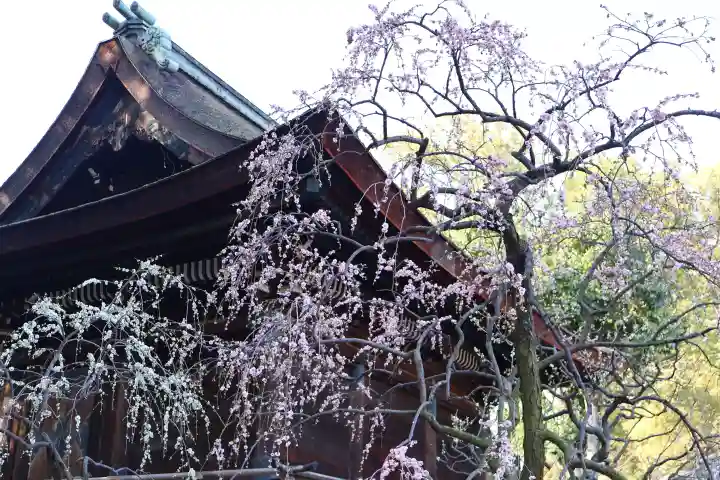 道明寺天満宮の{uncategorized: "未分類", other: "その他", undefined: "問題あり", building: "その他建物", grave: "お墓", sacred_gate: "鳥居", guardian: "狛犬", statue: "像", buddha: "仏像", history: "歴史", nature: "自然", garden: "庭園", animal: "動物", pagoda: "塔", temizu: "手水舎", mountain_gate: "山門・神門", sanctuary: "本殿・本堂", subordinate: "末社・摂社", art: "芸術", scenery: "景色", jizo: "地蔵", ema: "絵馬", goshuin: "御朱印", omikuji: "おみくじ", items: "授与品その他", amulet: "お守り", goshuincho: "御朱印帳", eats: "食事", festival: "お祭り", votive_dance: "神楽", shichigosan: "七五三参", wedding: "結婚式", experience: "体験その他", initially: "初詣", around: "周辺", anti_infection: "感染症対策"}