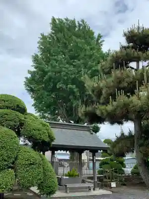 見性寺の手水舎