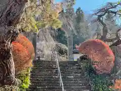 長谷寺の建物その他