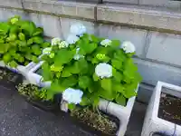 長國寺(東京都)