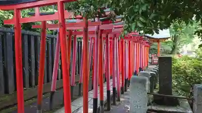 根津神社の鳥居