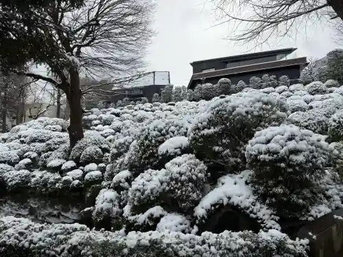 根津神社の{uncategorized: "未分類", other: "その他", undefined: "問題あり", building: "その他建物", grave: "お墓", sacred_gate: "鳥居", guardian: "狛犬", statue: "像", buddha: "仏像", history: "歴史", nature: "自然", garden: "庭園", animal: "動物", pagoda: "塔", temizu: "手水舎", mountain_gate: "山門・神門", sanctuary: "本殿・本堂", subordinate: "末社・摂社", art: "芸術", scenery: "景色", jizo: "地蔵", ema: "絵馬", goshuin: "御朱印", omikuji: "おみくじ", items: "授与品その他", amulet: "お守り", goshuincho: "御朱印帳", eats: "食事", festival: "お祭り", votive_dance: "神楽", shichigosan: "七五三参", wedding: "結婚式", experience: "体験その他", initially: "初詣", around: "周辺", anti_infection: "感染症対策"}